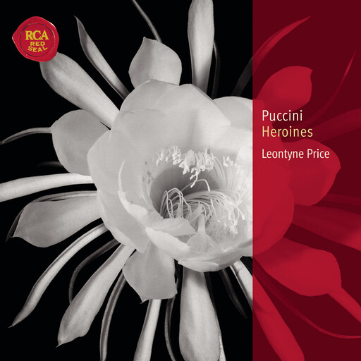 国产美女视频一区二区三区
